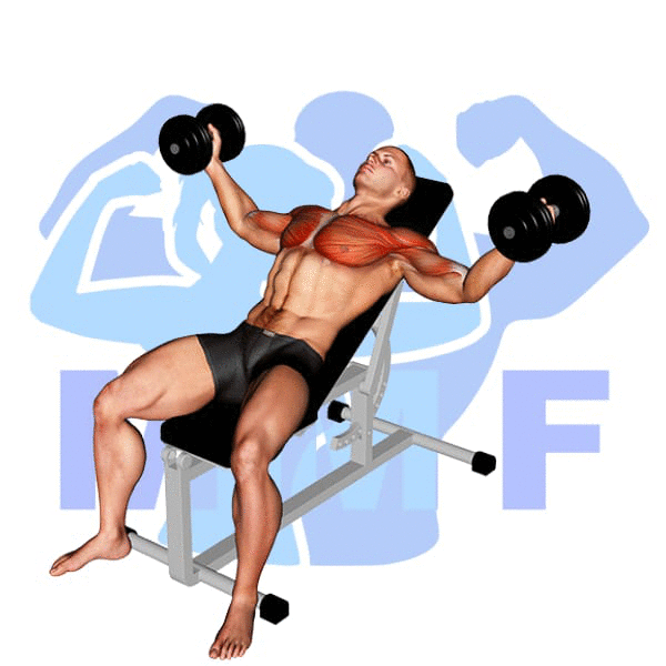 Man Performing Incline Dumbbell Fly