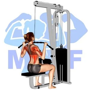 Graphic image of Lat Pulldown.