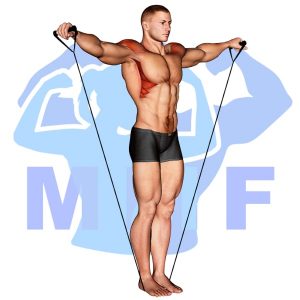Graphic image of Lateral Raises With Bands.