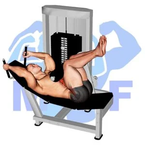 Graphic image of Lever Lying Leg Raise Bent Knee (Machine).