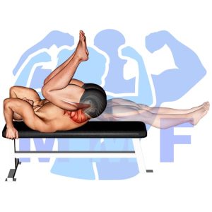 Graphic image of Lying Leg Crunch.
