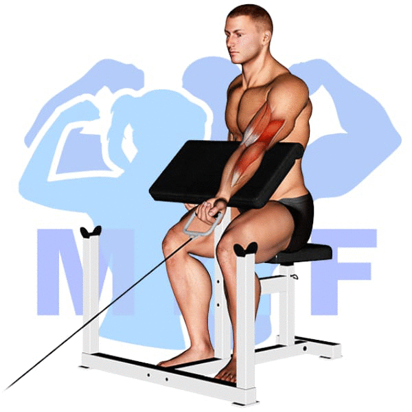 Graphic image of a muscular man performing One Arm Preacher Cable Curl.