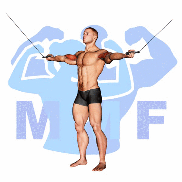 Graphic image of a muscular man performing Overhead Cable Curls.