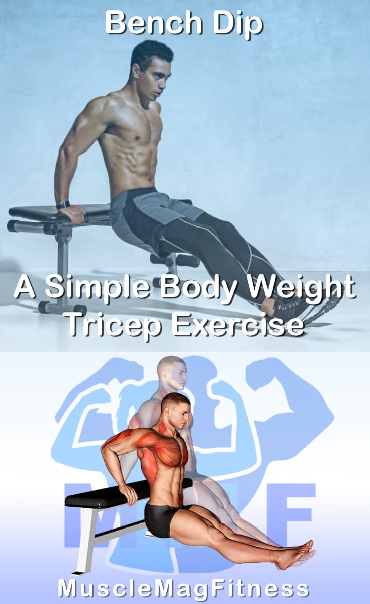 Bench Dip Is A Simple Body Weight Exercise To Work Your Triceps