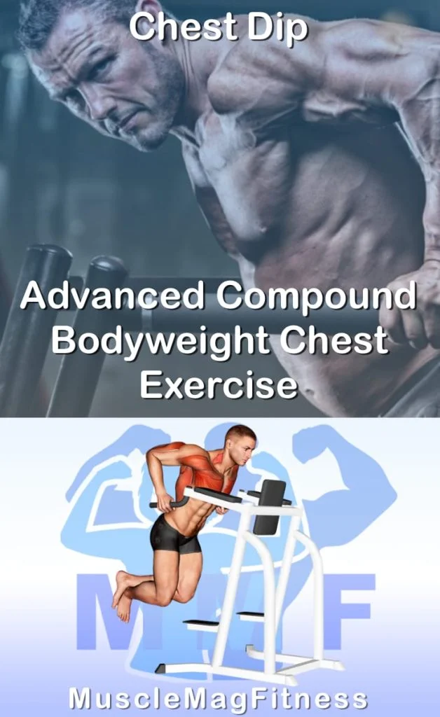 Pin image for chest dip post. With an image of a man performing the exercise on Top and a graphic of the exercise on the Bottom.