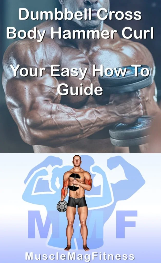 Pin image for dumbbell cross body hammer curl post. With an image of a man performing the exercise on Top and a graphic of the exercise on the Bottom.