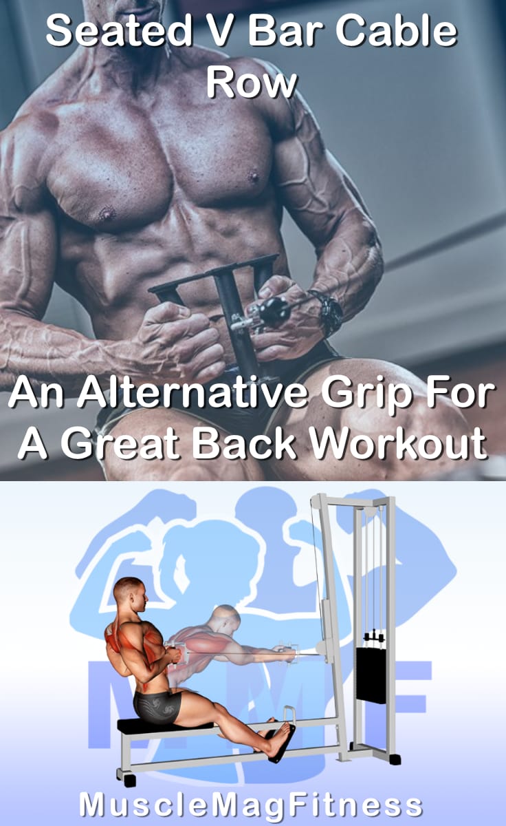 Seated V Bar Cable Row An Alternative Grip For A Great Back Workout