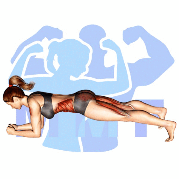 Graphic image of a fit woman performing Plank Hip Lift.