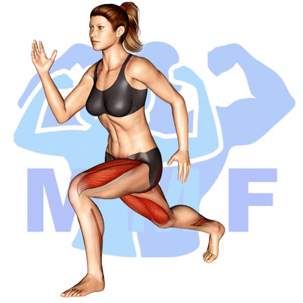Graphic image of a fit woman performing Plyo Split Squats.