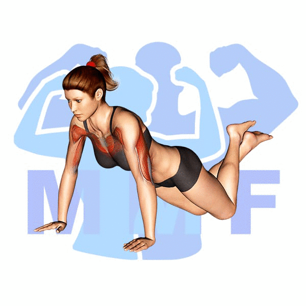 Graphic image of a fit woman performing Push Up From Knees.