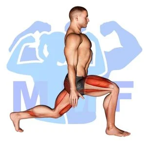 Graphic image of Rear Lunge.