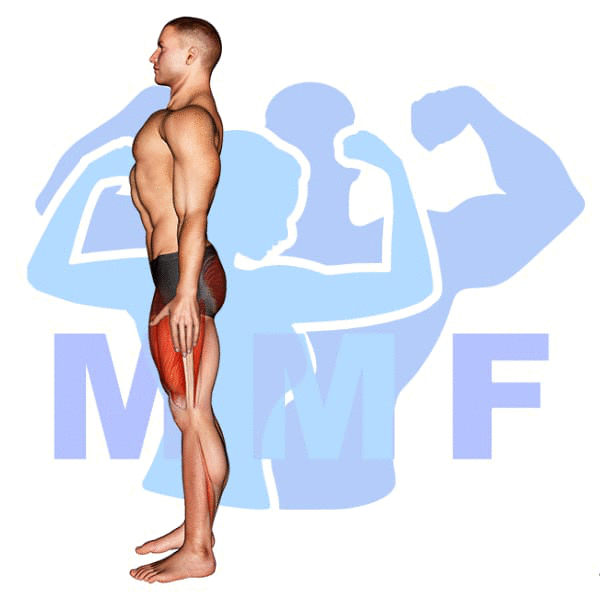 Graphic image of a muscular man performing Rear Lunge.