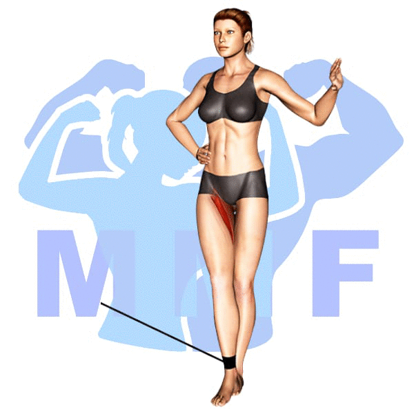 Woman performing resistance band adductors with MuscleMagFitness logo background.