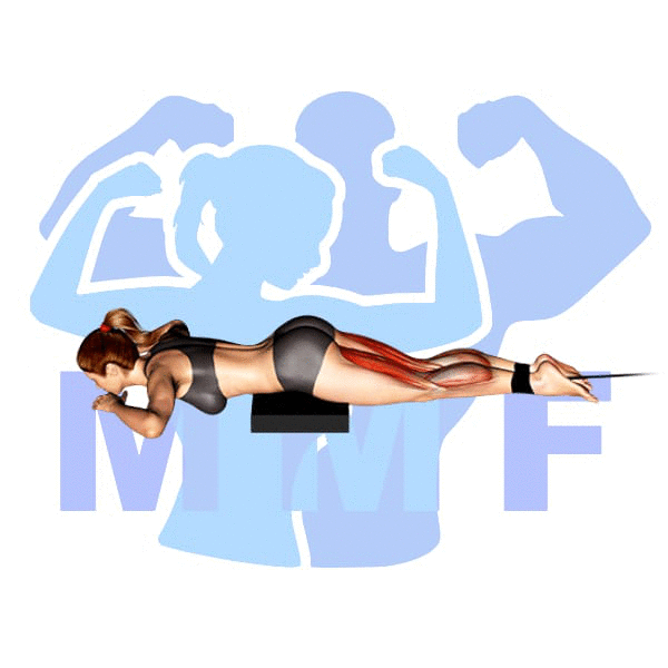 Woman Performing resistance band leg curls with MuscleMagFitness Logo in the background.