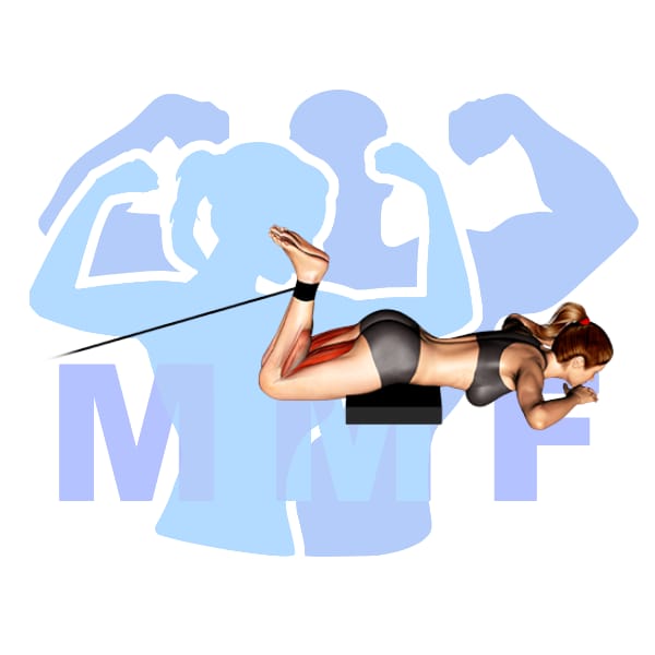 Resistance Band Single Leg Extensions Best Quad Isolation Exercise