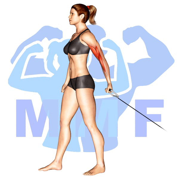 Woman Performing resistance band one arm bicep curls with MuscleMagFitness Logo in the background.