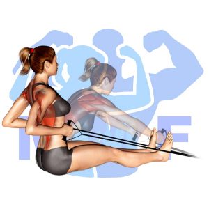 Graphic image of Resistance Band Seated Rows.