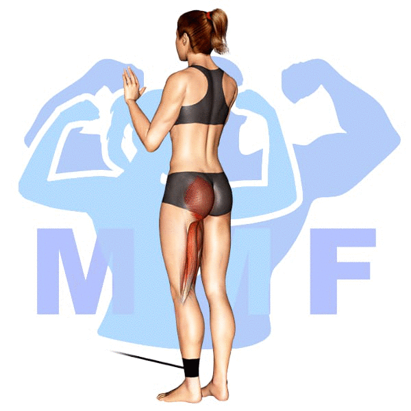 Woman Performing resistance band single leg hip extensions with MuscleMagFitness Logo in the background.