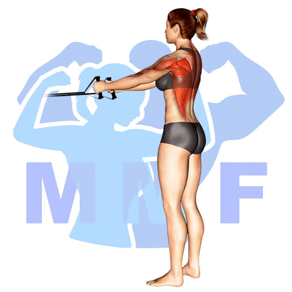 Woman performing resistance band standing rows with MuscleMagFitness logo background.