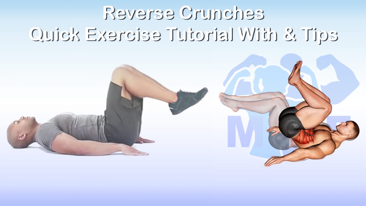 Reverse Crunches Quick Exercise Tutorial With Must Do Tips