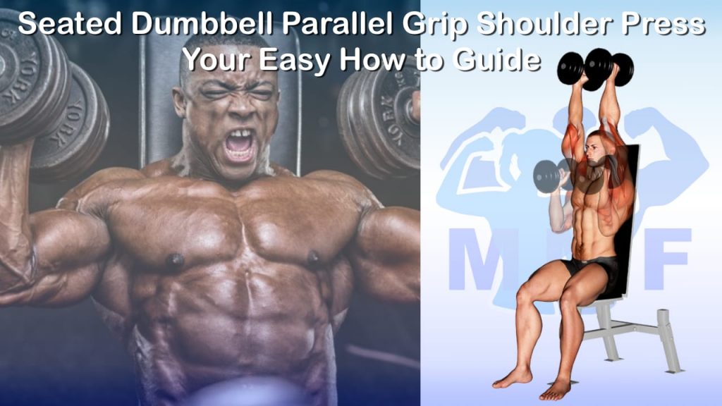 Seated Dumbbell Parallel Grip Shoulder Press - Your Easy How to Guide