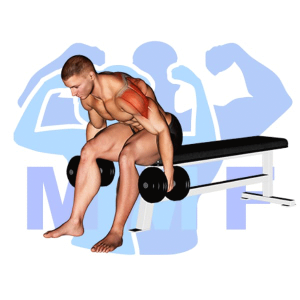 Man Performing Seated Dumbbell Rear Lateral Raise