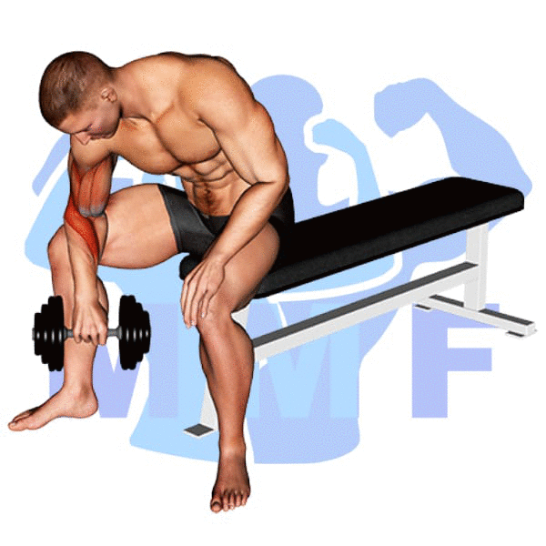 Man Performing Seated Dumbbell Revers Grip Concentration Curl