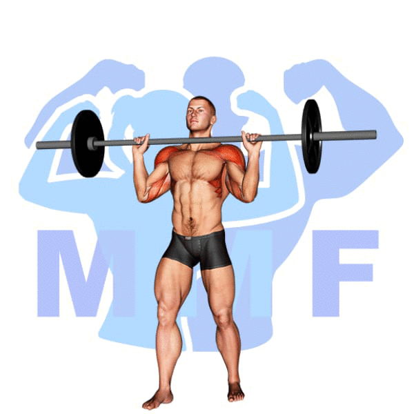 Man performing Standing Barbell Military Shoulder Press