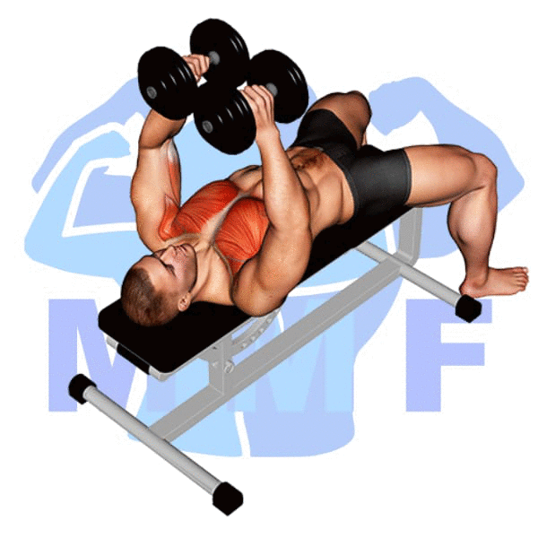 Man performing dumbbell fly on bench