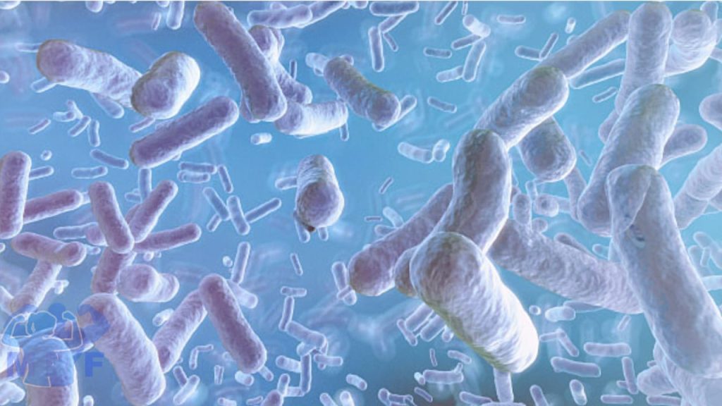 How You Can Enjoy the Health Benefits of Probiotics