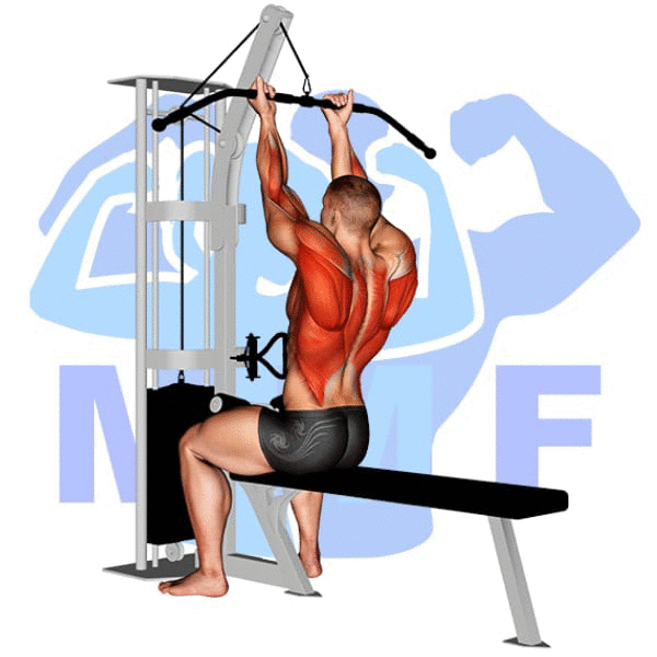Man performing supinated lat pulldown with MuscleMagFitness logo background.