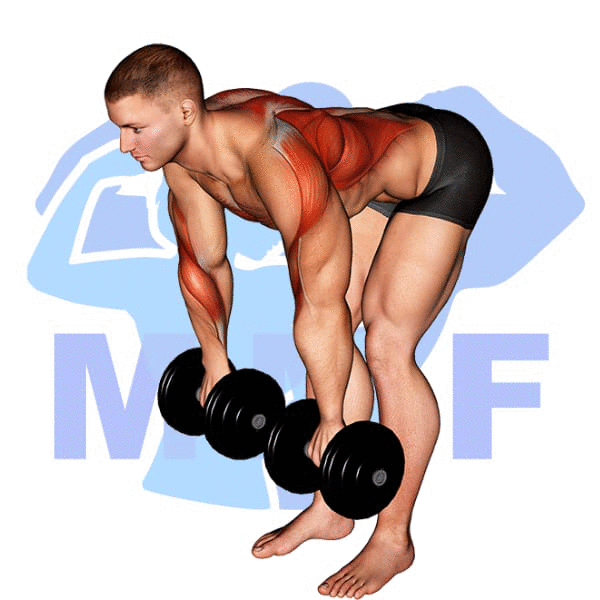 Man performing dumbbell palm rotation bent over rows with MuscleMagFitness logo background.