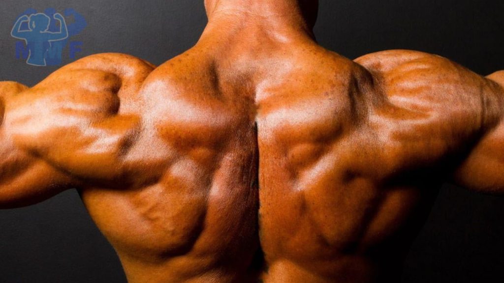 Man with defined shoulders from doing shoulder workouts for mass