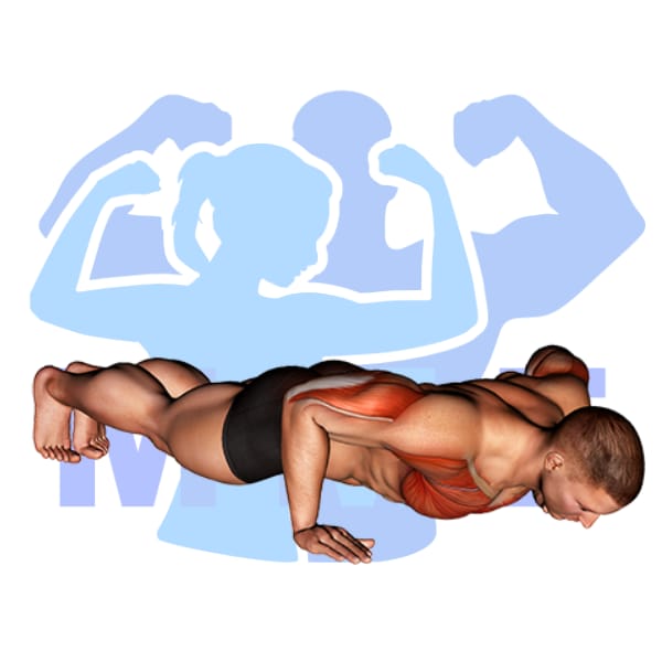 Man performing push-ups with MuscleMagFitness logo background.