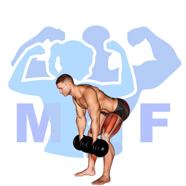 Man performing Romanian Deadlift to Squat Jump with MuscleMagFitness logo background.