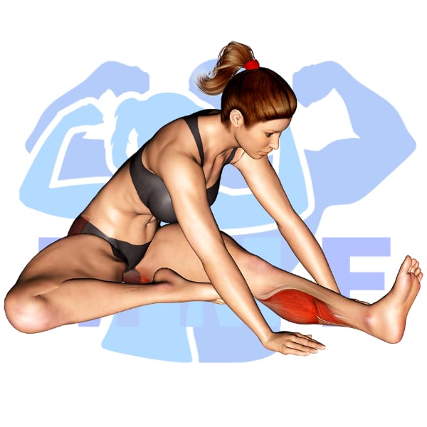 Woman performing modified hurdler stretch with MuscleMagFitness logo background.