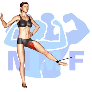 Graphic image of Resistance Band Adductors.