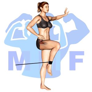 Graphic image of Resistance Band Bent Leg Raises.