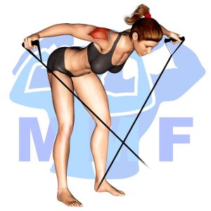 Graphic image of Resistance Band Bent Over Rear Lateral Raises.