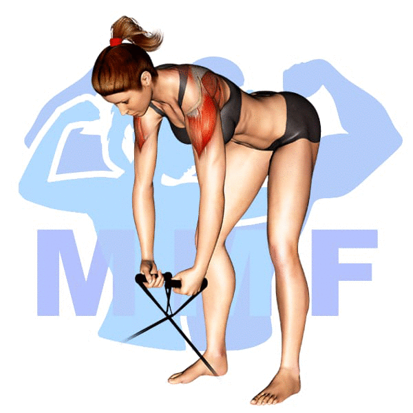 Woman performing resistance band bent over rear lateral raises with MuscleMagFitness logo background.