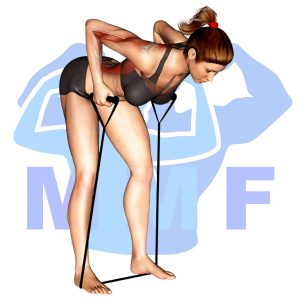 Graphic image of Resistance Band Bent Over Rows.