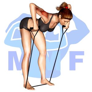 Graphic image of Resistance Band Bent Over Shoulder Rows.