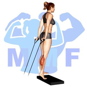 Graphic image of Resistance Band Calf Raises.