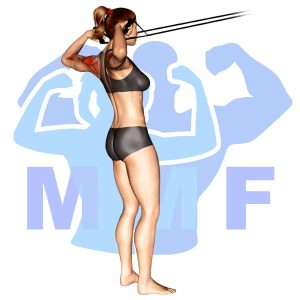 Graphic image of Resistance Band Face Pulls.
