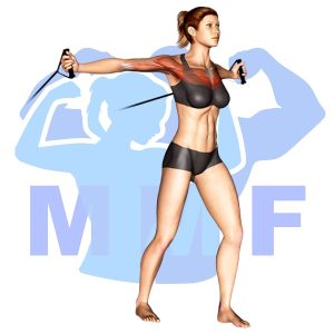 Graphic image of Resistance Band Flys.
