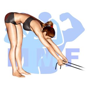 Graphic image of Resistance Band Hyperextensions.