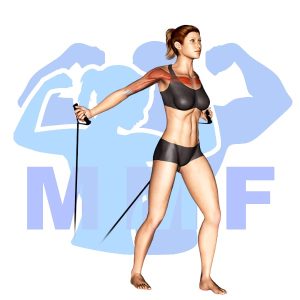 Graphic image of Resistance Band Low Chest Flys.