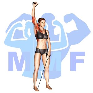 Graphic image of Resistance Band One Arm Shoulder Press.