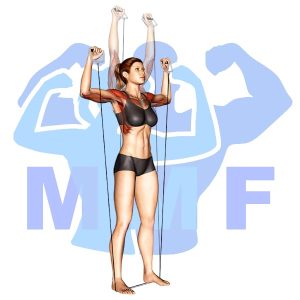Graphic image of Resistance Band Shoulder Press.