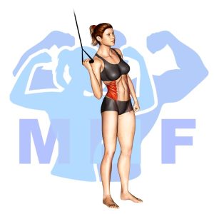 Graphic image of Resistance Band Side Crunch.